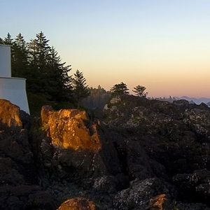 Meet your Posher, Tess